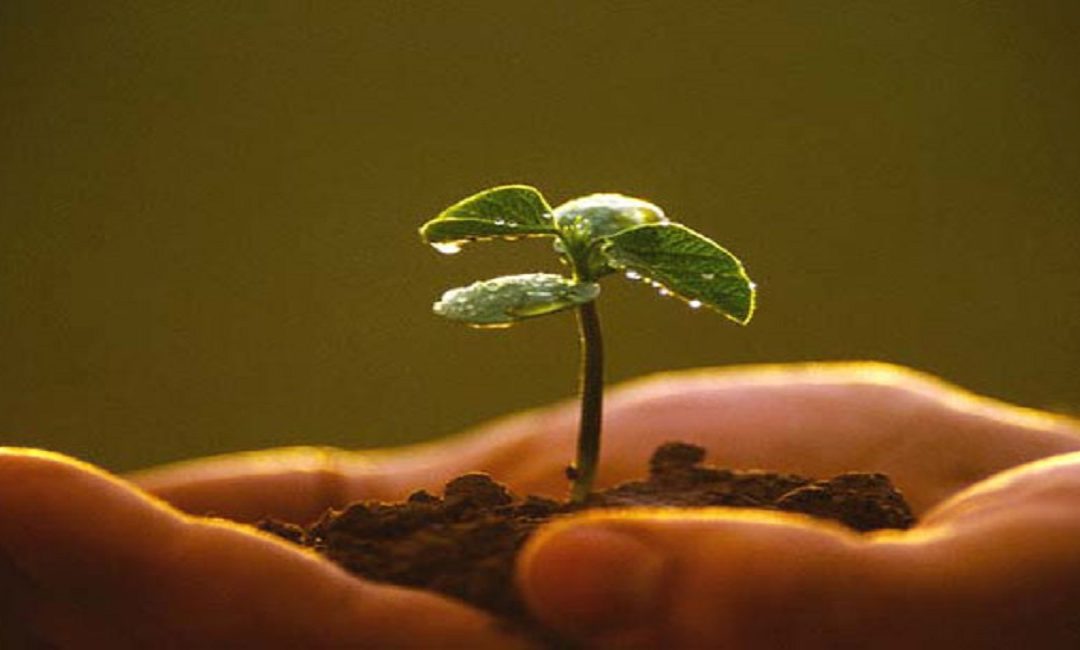 Cultura, diversità, agroecologia. Penultimo appuntamento con il Laboratorio di Diritto ed Economia della Cultura
