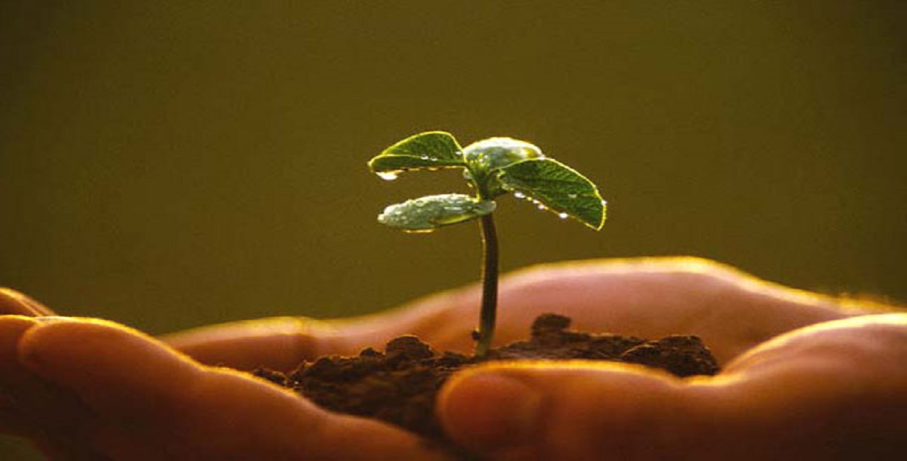 agroecologia