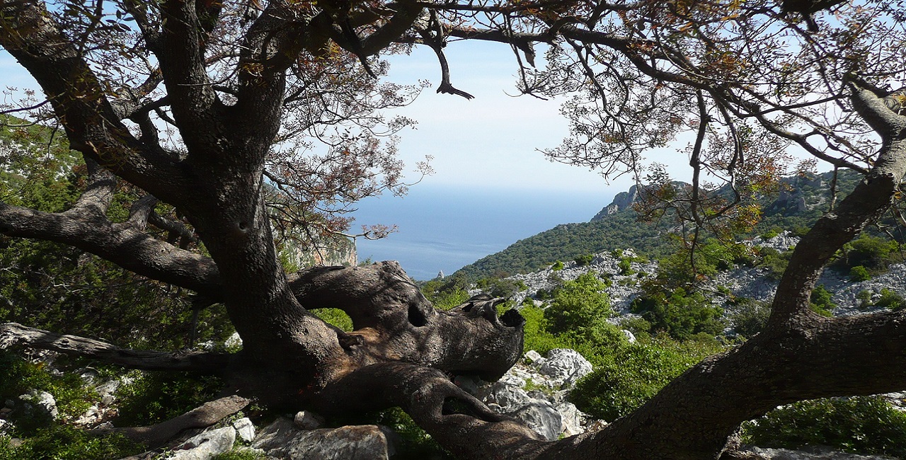 terre-civiche-immagine